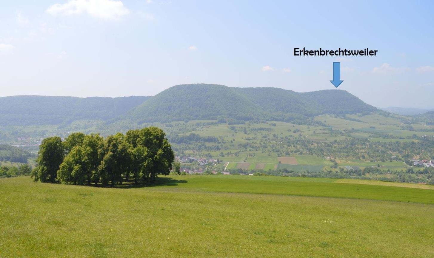 Fewo-Alb-Traum Erkenbrechtsweiler Εξωτερικό φωτογραφία